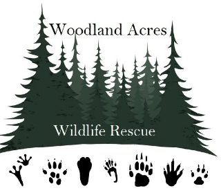 Woodland Acres