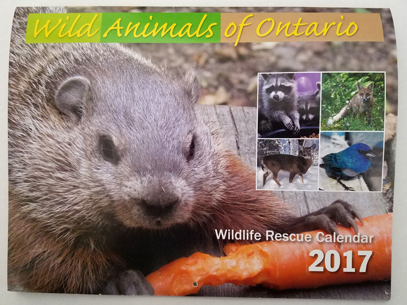 Ontario Wildlife Rescue