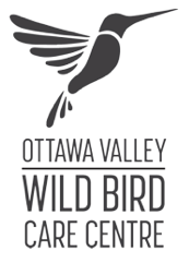 Ottawa Valley Wild Bird Care Centre